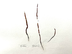  ( - GWS008602)  @11 [ ] Unspecified (default): All Rights Reserved  Unspecified Unspecified