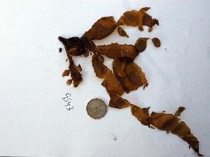  ( - GWS009543)  @11 [ ] Unspecified (default): All Rights Reserved  Unspecified Unspecified