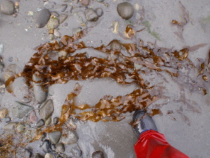  ( - GWS013224)  @11 [ ] Unspecified (default): All Rights Reserved  Unspecified Unspecified