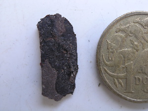  ( - GWS029112)  @11 [ ] CreativeCommons - Attribution Non-Commercial Share-Alike (2012) Gary W. Saunders University of New Brunswick