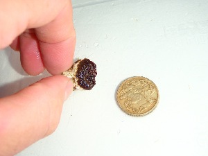  ( - GWS037217)  @11 [ ] Unspecified (default): All Rights Reserved  Unspecified Unspecified