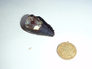  ( - GWS037243)  @11 [ ] Unspecified (default): All Rights Reserved  Unspecified Unspecified