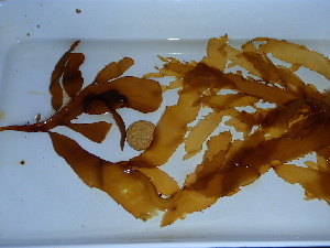  ( - GWS039544)  @11 [ ] Unspecified (default): All Rights Reserved  Unspecified Unspecified