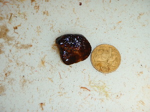  ( - GWS040206)  @11 [ ] Unspecified (default): All Rights Reserved  Unspecified Unspecified