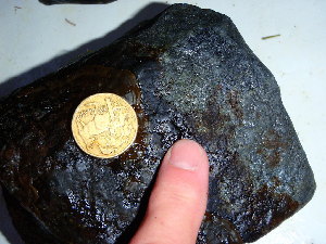  (Tilopteridalean - GWS040233)  @11 [ ] Unspecified (default): All Rights Reserved  Unspecified Unspecified