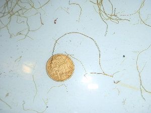  ( - GWS040466)  @11 [ ] Unspecified (default): All Rights Reserved  Unspecified Unspecified