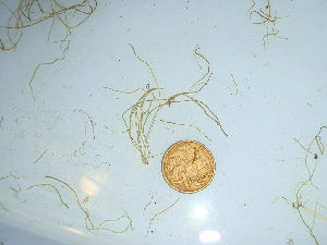  ( - GWS040467)  @11 [ ] Unspecified (default): All Rights Reserved  Unspecified Unspecified