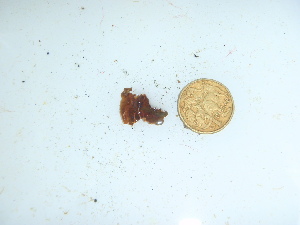  ( - GWS044205)  @11 [ ] Unspecified (default): All Rights Reserved  Unspecified Unspecified