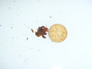  ( - GWS044206)  @11 [ ] Unspecified (default): All Rights Reserved  Unspecified Unspecified