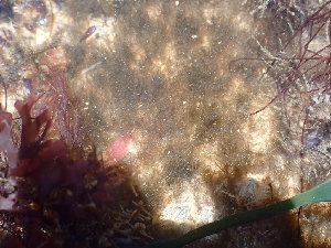  ( - GWS045217)  @11 [ ] Unspecified (default): All Rights Reserved  Unspecified Unspecified