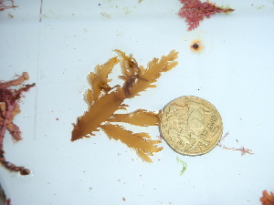  ( - GWS045507)  @11 [ ] Unspecified (default): All Rights Reserved  Unspecified Unspecified