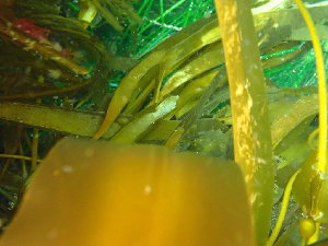  ( - GWS046944)  @11 [ ] Unspecified (default): All Rights Reserved  Unspecified Unspecified
