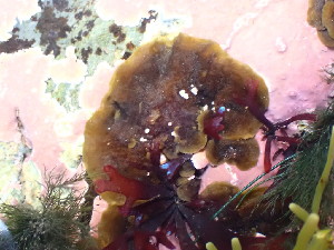  ( - GWS047858)  @11 [ ] Unspecified (default): All Rights Reserved  Unspecified Unspecified