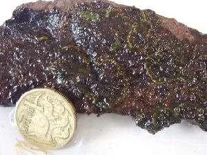  ( - GWS048364)  @11 [ ] Unspecified (default): All Rights Reserved  Unspecified Unspecified