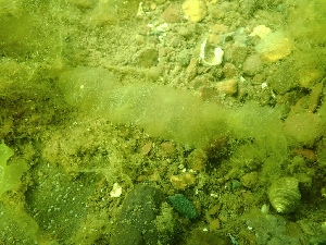  ( - GWS048368)  @11 [ ] Unspecified (default): All Rights Reserved  Unspecified Unspecified