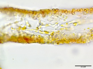  ( - GWS048694)  @11 [ ] Unspecified (default): All Rights Reserved  Unspecified Unspecified