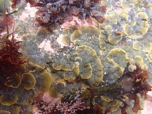  ( - GWS049181)  @11 [ ] Unspecified (default): All Rights Reserved  Unspecified Unspecified