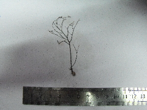  ( - Caceres_360)  @11 [ ] CreativeCommons - Attribution Non-Commercial (2013) Unspecified Universidad Nacional del Sur