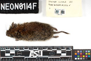  ( - BONA.20180710.R3573.E)  @11 [ ] CreativeCommons - Attribution Share-Alike (2025) Unspecified Arizona State University