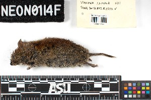  ( - BONA.20180710.R3573.E)  @11 [ ] CreativeCommons - Attribution Share-Alike (2025) Unspecified Arizona State University