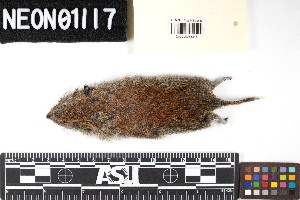  ( - TOOL.20180725.R3566.E)  @11 [ ] CreativeCommons - Attribution Share-Alike (2025) Unspecified Arizona State University