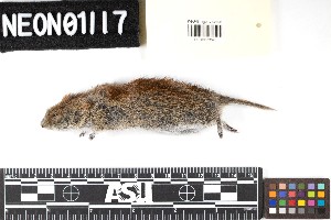  ( - TOOL.20180725.R3566.E)  @11 [ ] CreativeCommons - Attribution Share-Alike (2025) Unspecified Arizona State University