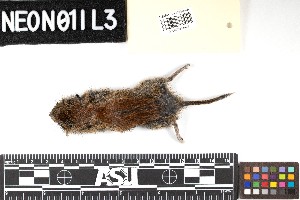  ( - DEJU.20190709.R3794.E)  @11 [ ] CreativeCommons - Attribution Share-Alike (2025) Unspecified Arizona State University