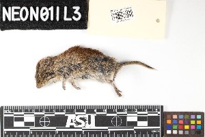  ( - DEJU.20190709.R3794.E)  @11 [ ] CreativeCommons - Attribution Share-Alike (2025) Unspecified Arizona State University