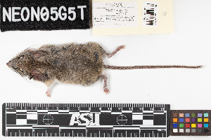  ( - SJER.20211105.L3176.E)  @11 [ ] CreativeCommons - Attribution Share-Alike (2025) Unspecified Arizona State University