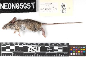  ( - SJER.20211105.L3176.E)  @11 [ ] CreativeCommons - Attribution Share-Alike (2025) Unspecified Arizona State University