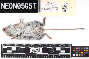  ( - SJER.20211105.L3176.E)  @11 [ ] CreativeCommons - Attribution Share-Alike (2025) Unspecified Arizona State University