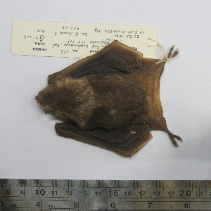  ( - MUSM 00352)  @11 [ ] Unspecified (default): All Rights Reserved (2014) Unspecified Unspecified