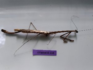  ( - GFMAN18-118)  @13 [ ] Copyright (2018) Nicolas Moulin Research Collection of Nicolas Moulin