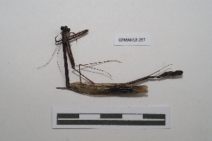  ( - GFMAN18-297)  @11 [ ] Copyright (2024) Nicolas Moulin Research Collection of Nicolas Moulin
