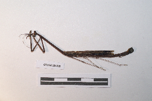  ( - GFMAN18-308)  @11 [ ] Copyright (2024) Nicolas Moulin Research Collection of Nicolas Moulin