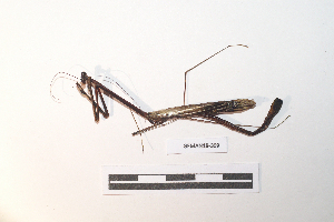 ( - GFMAN18-309)  @11 [ ] Copyright (2024) Nicolas Moulin Research Collection of Nicolas Moulin