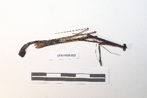  ( - GFMAN18-313)  @11 [ ] Copyright (2024) Nicolas Moulin Research Collection of Nicolas Moulin