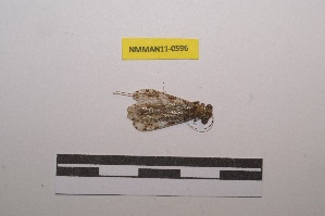  ( - NMMAN11-0596)  @11 [ ] Copyright (2020) Nicolas Moulin Research Collection of Nicolas Moulin