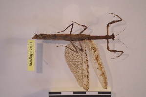  ( - NMMAN11-0103)  @12 [ ] Unspecified (default): All Rights Reserved  Unspecified Unspecified