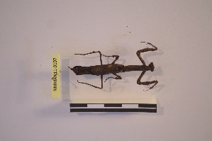  ( - NMMAN11-0107)  @11 [ ] Unspecified (default): All Rights Reserved  Unspecified Unspecified