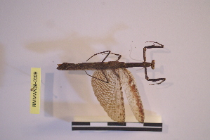  ( - NMMAN11-0109)  @11 [ ] Unspecified (default): All Rights Reserved  Unspecified Unspecified