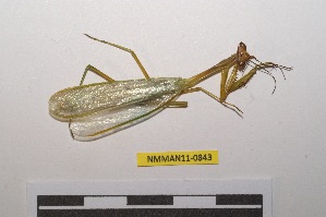  ( - NMMAN11-0843)  @11 [ ] Copyright (2022) Nicolas Moulin Research Collection of Nicolas Moulin