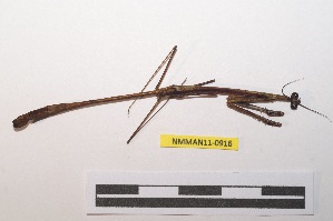  ( - NMMAN11-0916)  @11 [ ] Copyright (2023) Nicolas Moulin Research Collection of Nicolas Moulin