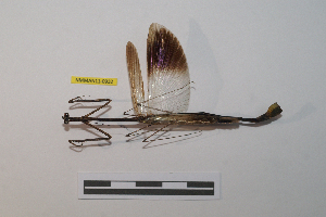  ( - NMMAN11-0932)  @11 [ ] Copyright (2024) Nicolas Moulin Research Collection of Nicolas Moulin
