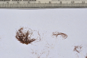  ( - PHYKOS-4525)  @11 [ ] Copyright (2012) Brian Wysor Roger Williams University