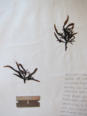  ( - FHL21-024)  @11 [ ] CreativeCommons - Attribution Non-Commercial Share- Alike (2021) D. Wilson Freshwater University of North Carolina at Wilmington