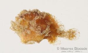  ( - MBIO1107.4)  @12 [ ] Unspecified (default): All Rights Reserved  Unspecified Unspecified