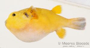  ( - MBIO1280.4)  @11 [ ] Unspecified (default): All Rights Reserved  Unspecified Unspecified