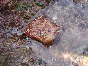  ( - CAN0013)  @11 [ ] CreativeCommons - Attribution Non-Commercial Share-Alike (2013) Unspecified Universidade de La Laguna