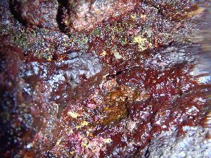  ( - CAN0033)  @11 [ ] CreativeCommons - Attribution Non-Commercial Share-Alike (2013) Unspecified Universidade de La Laguna